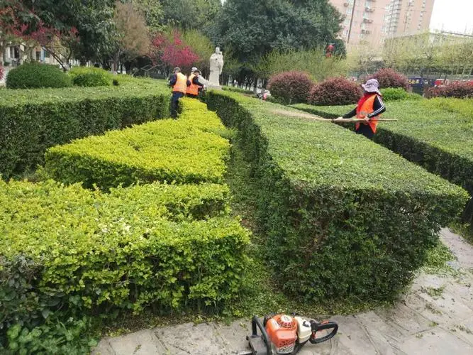 茶楼天台园林景观设计方案