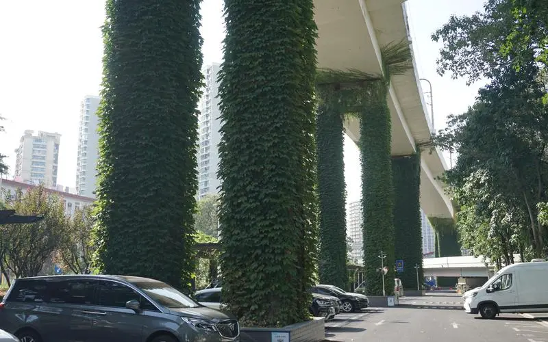 建洲绿化工程