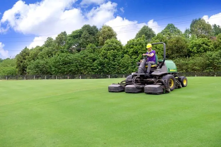 小山坡打造绿化工程方案