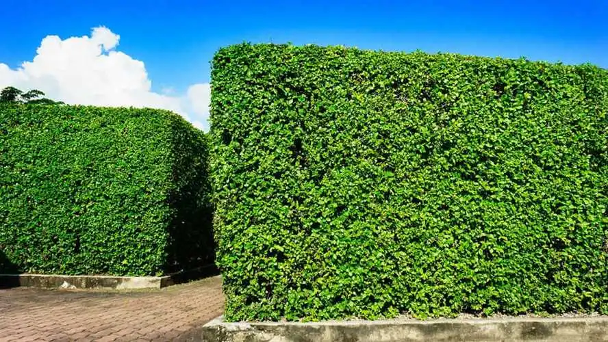 高质量阜阳园林景观设计